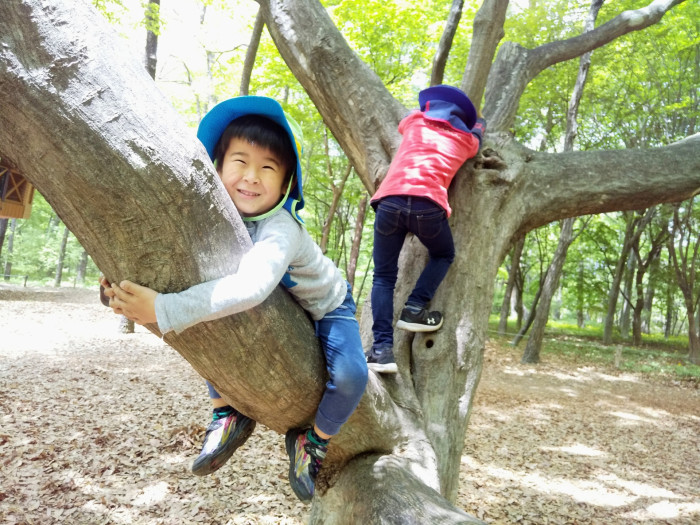 大分のオルタナティブスクールをご紹介 みんなの学校