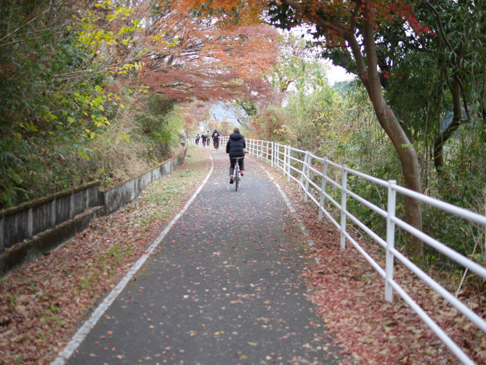 紅葉で有名な耶馬渓で自然を感じながらサイクリング（耶馬渓サイクリングターミナル）